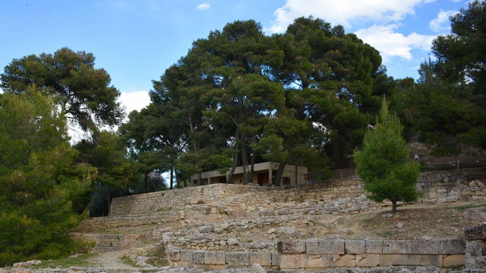 Pitsidia Olive Tree