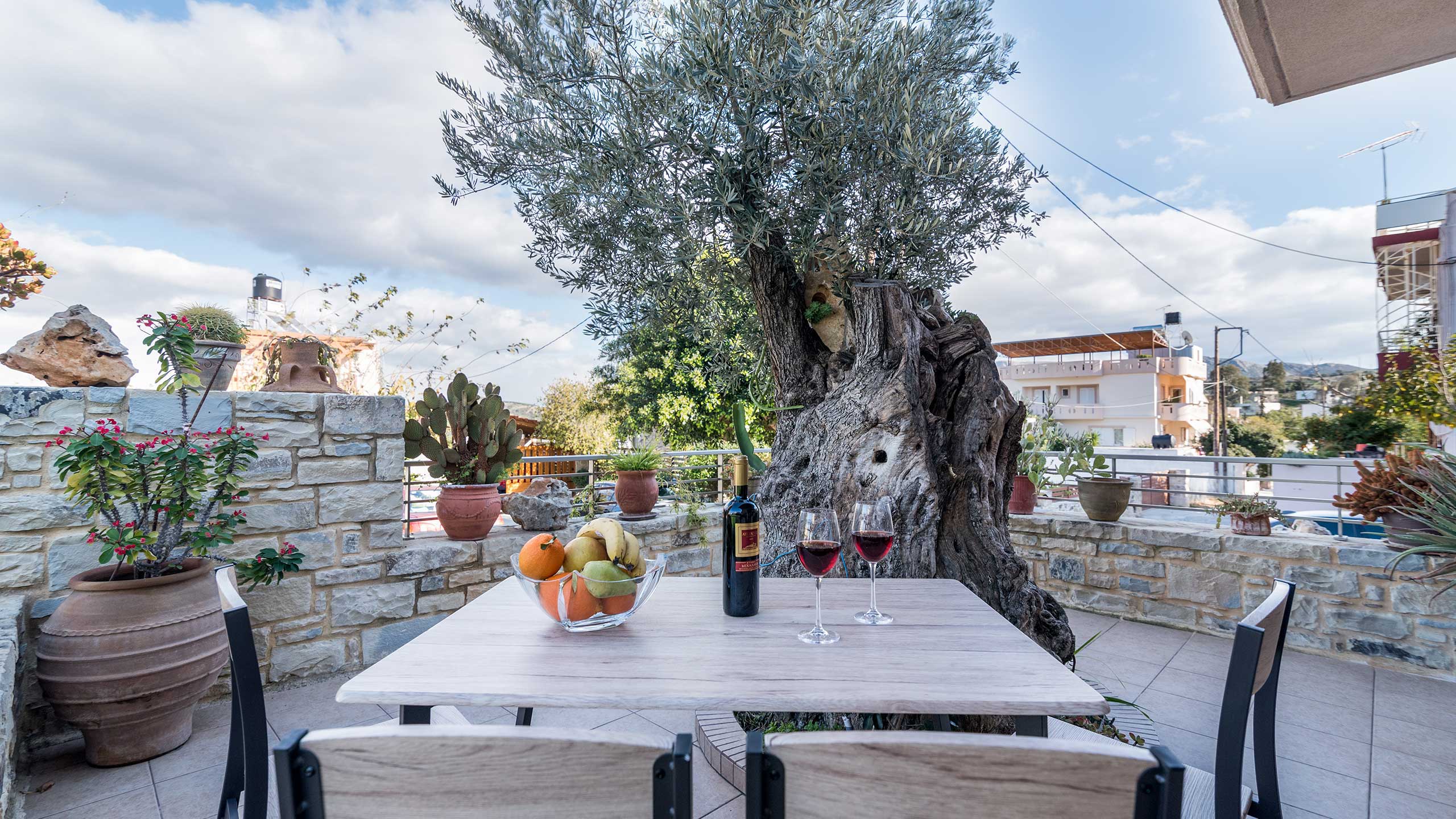 Pitsidia Olive Tree